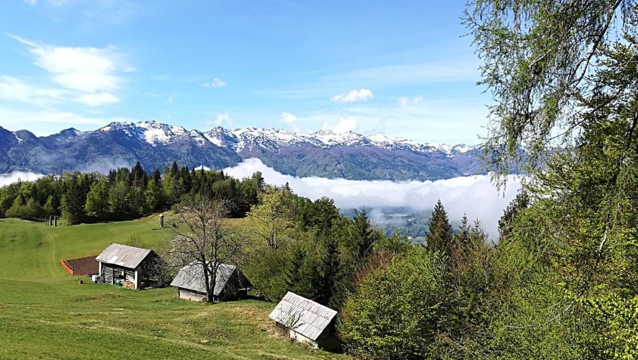Apartments Pod Rodico Bohinjska Bistrica Екстериор снимка