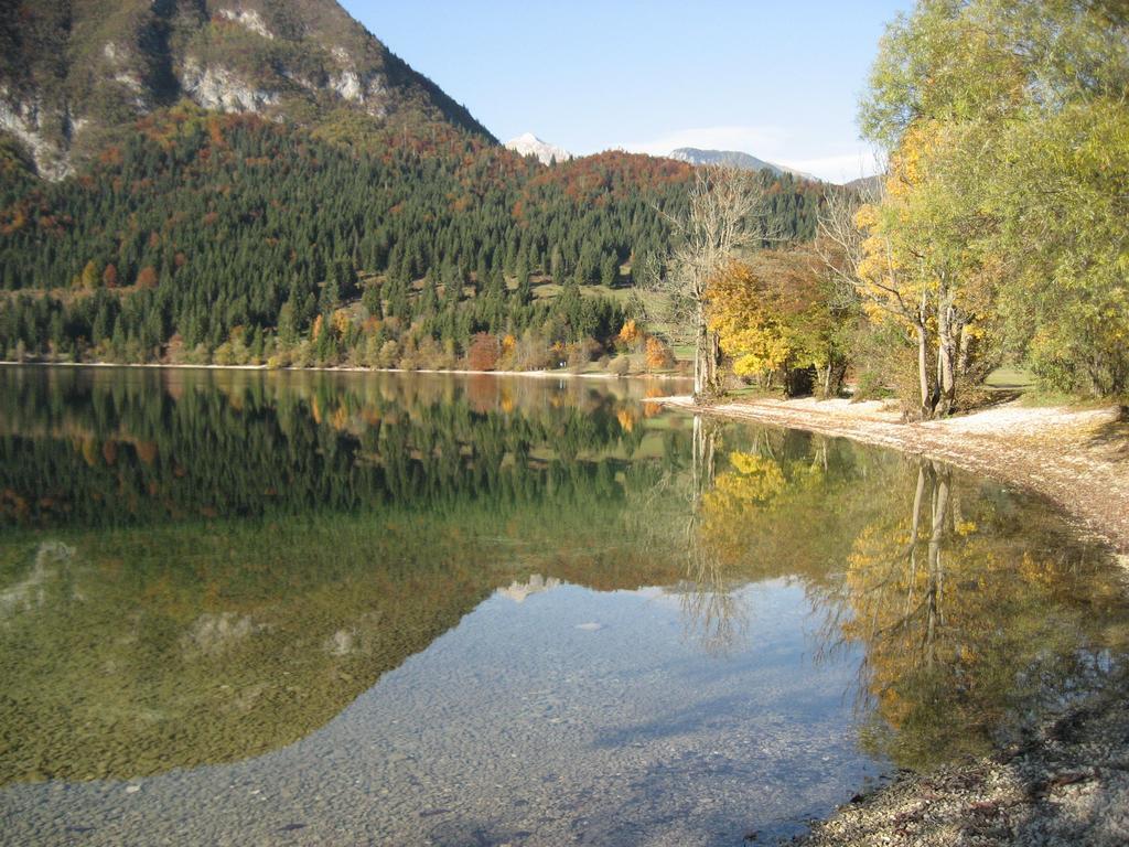 Apartments Pod Rodico Bohinjska Bistrica Екстериор снимка
