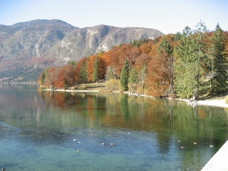 Apartments Pod Rodico Bohinjska Bistrica Екстериор снимка