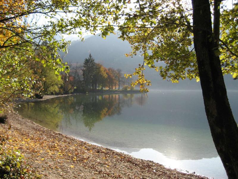 Apartments Pod Rodico Bohinjska Bistrica Екстериор снимка